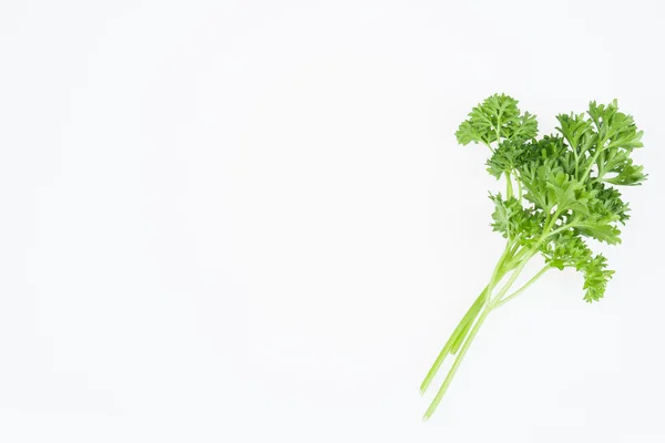 Herbs — Stock Photo, Image