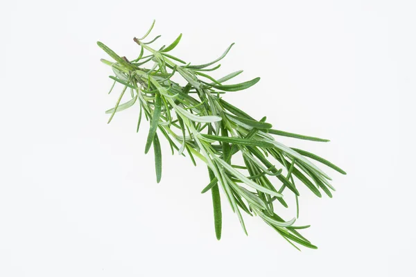 Herbs — Stock Photo, Image