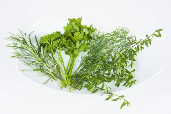 Herbs — Stock Photo, Image