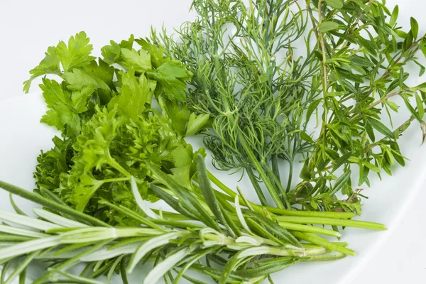 Herbs — Stock Photo, Image