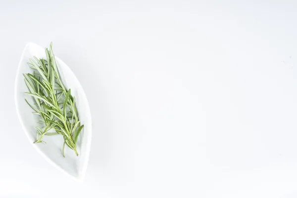 Herbs — Stock Photo, Image