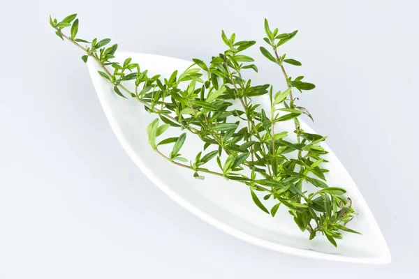 Herbs — Stock Photo, Image