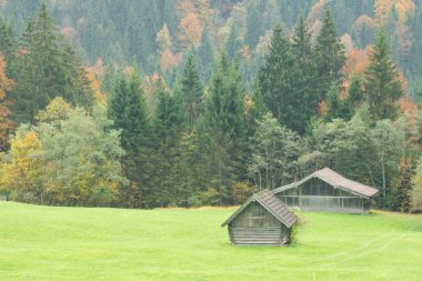Dağ kulübede bir çayır