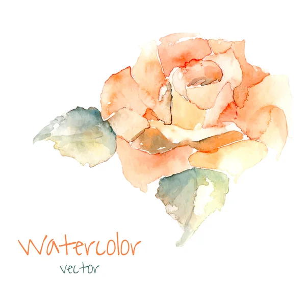 Aquarell-Illustration für Ihren Entwurf. — Stockvektor