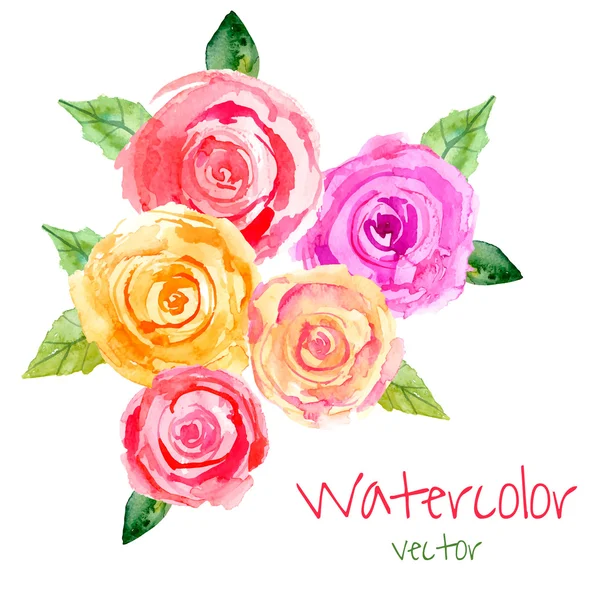 Watercolor floral composition of roses. — Wektor stockowy