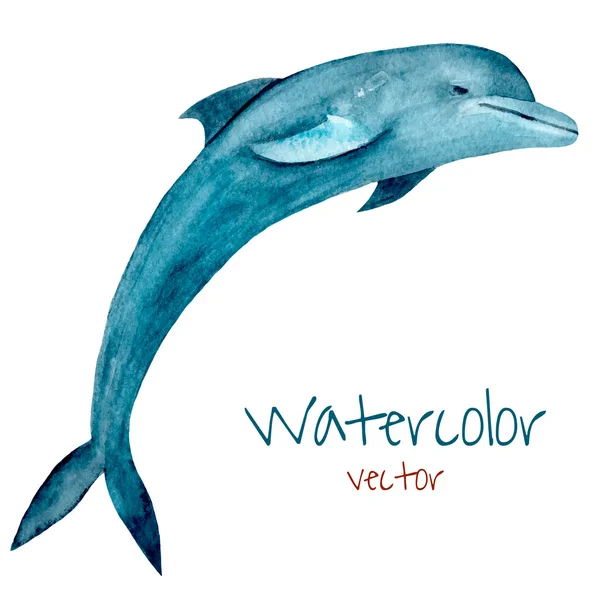 Jumping blue dolphin. — Stockový vektor
