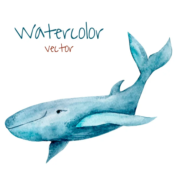 Watercolor whale. Hand drawn vintage illustration — ストックベクタ