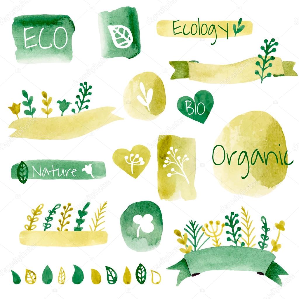 Organic eco design elements isolated on white background.