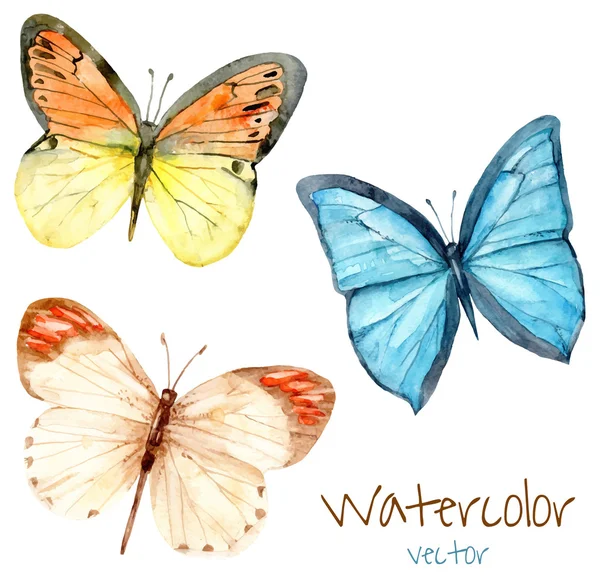 Watercolor butterfly set. — Stock Vector