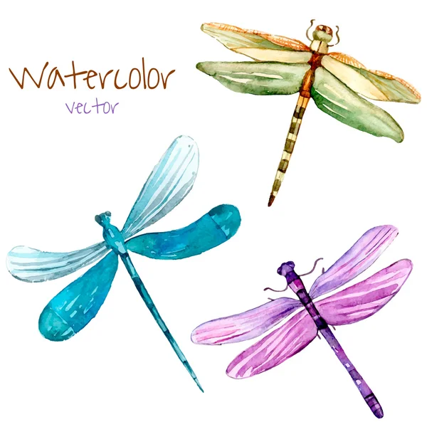 Watercolor dragonfly set. — Stock Vector