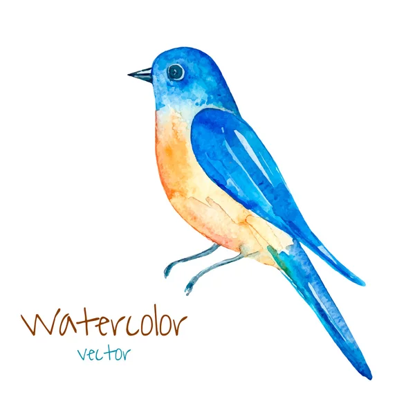 Akvarell kék madár. Stock Vektor