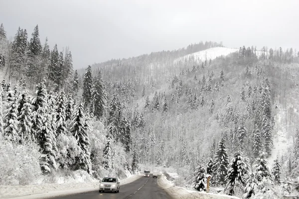 Yolun belgili tanımlık geçmek