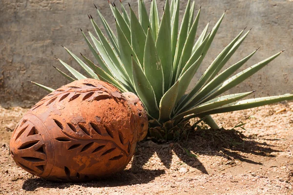 Jarra decorativa de cerámica en yuca sobre la arena . — Foto de Stock