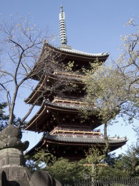 Pagoda Tokyo Tapınağı'nda