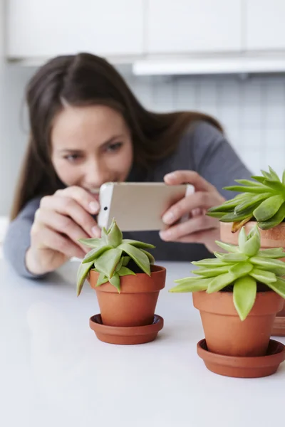 Jovem mulher fotografando plantas — Fotografia de Stock