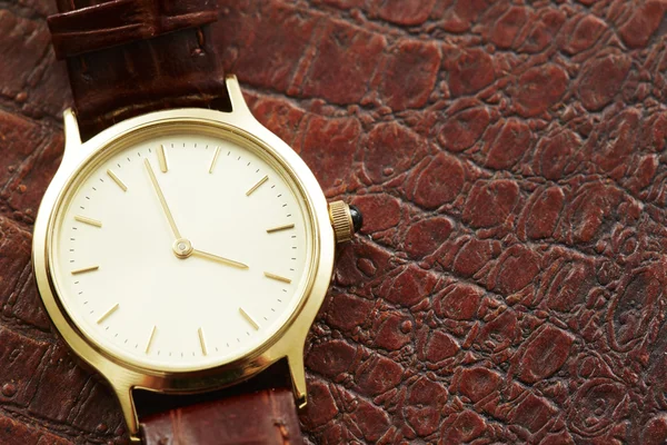 Luxusní Pánské hodinky — Stock fotografie