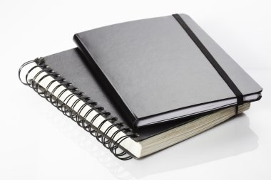 Defter ve günlüğü