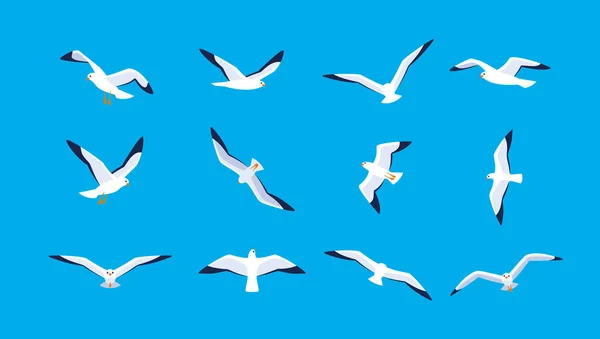 Gaviotas Volando Cielo Conjunto Aves Marinas Siluetas Aisladas Sobre Fondo Ilustración De Stock