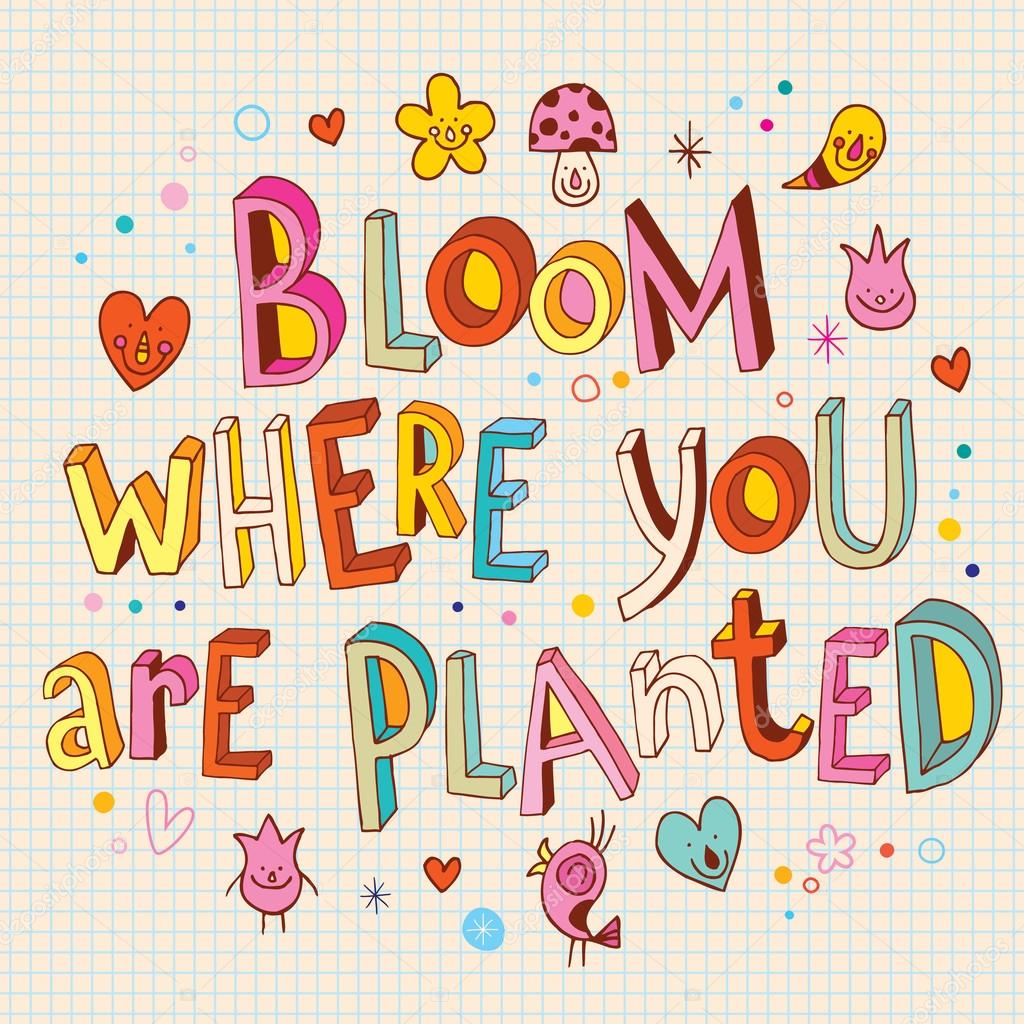 Bloom where you are planted hand drawn lettering design