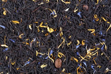 Meyve, yaprakları ve kahve çekirdekleri ile Aromatik çay.