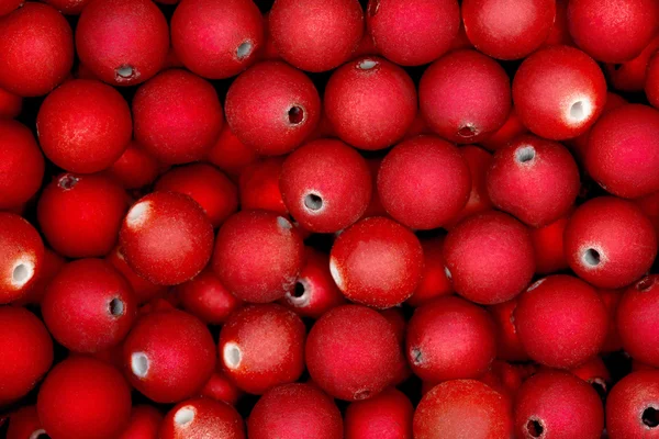 Palle rosse di perlina adatto per sfondo e texture . — Foto Stock