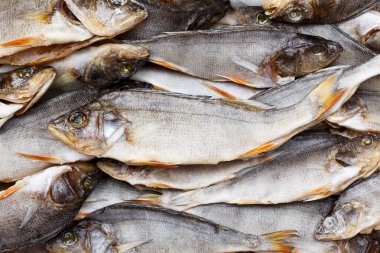 Kurutulmuş balık becground veya doku için. Kuru levrek.