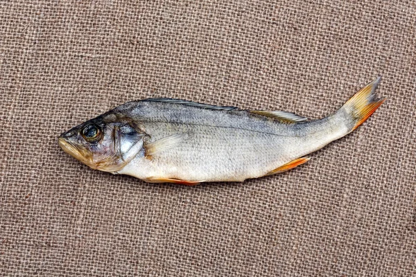 Сушеная рыба на винтажном мешковине крупным планом . — стоковое фото