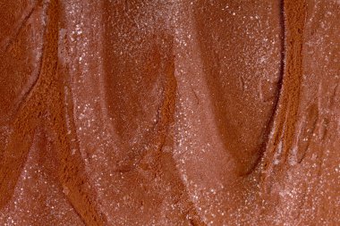 Çikolatalı dondurma. Portre fotoğraf.