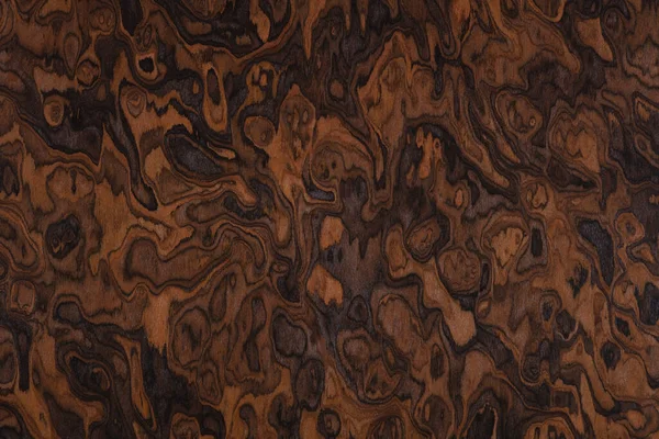 Kaliforniya Burl kaplama arka plan, stil tonu benzersiz dış görünüşünüzün bir parçası olarak.