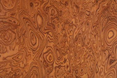 Zarif ev tasarımınızın bir parçası olarak Kontrastlı renkte Elm Burl kaplaması.