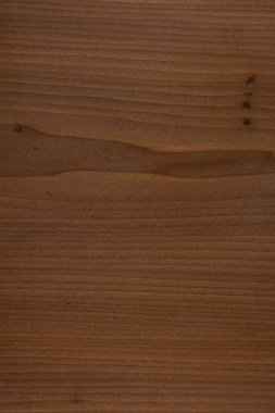 Tulipie Tinto Marrone kaplama kaplama arkaplan güzel kahverengi renk, dış için yeni doku.