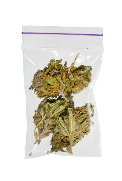 Medicinal cannabis in plastic bag — Stock Photo, Image