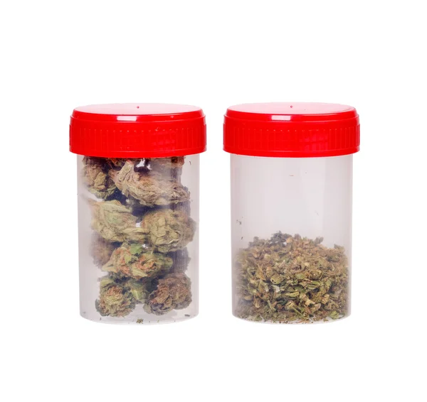 Dois tipos de cannabis medicinal — Fotografia de Stock