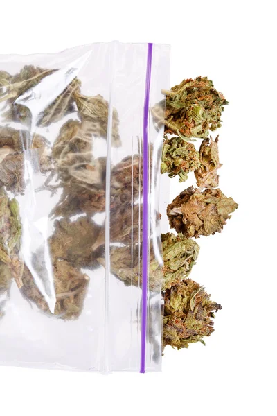 Große Plastiktüte mit Unkraut oder Marihuana — Stockfoto