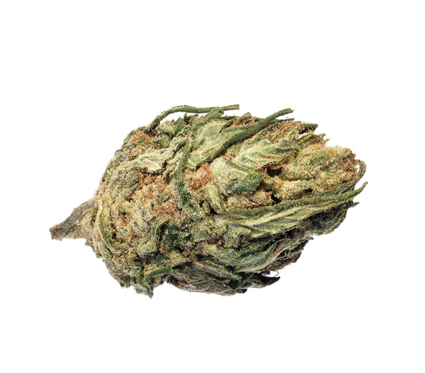 Esrar bud beyaz arka plan üzerinde görünür Thc ile kurutulmuş