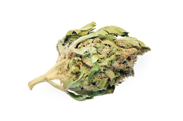 Marijuana bud isolated on white — Stock Photo, Image