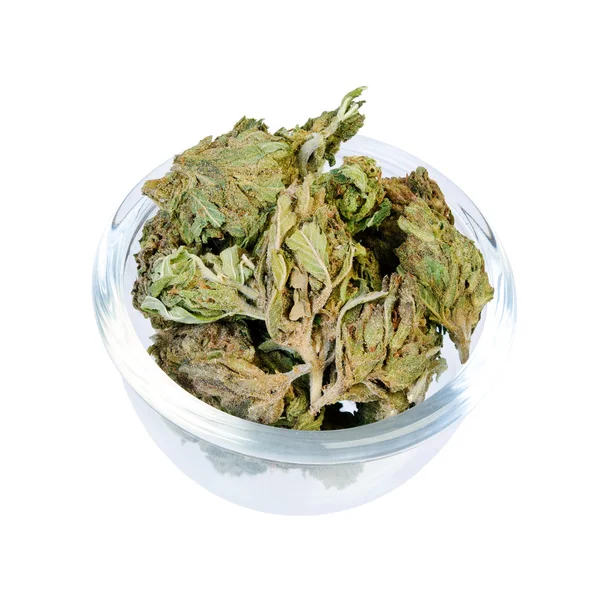 Teller Hanf (Cannabis, Marihuana)). — Stockfoto