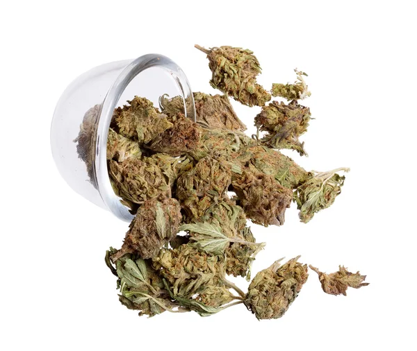 Buds de maconha verde em vidro transparente no branco. Cannabis Legalizat — Fotografia de Stock