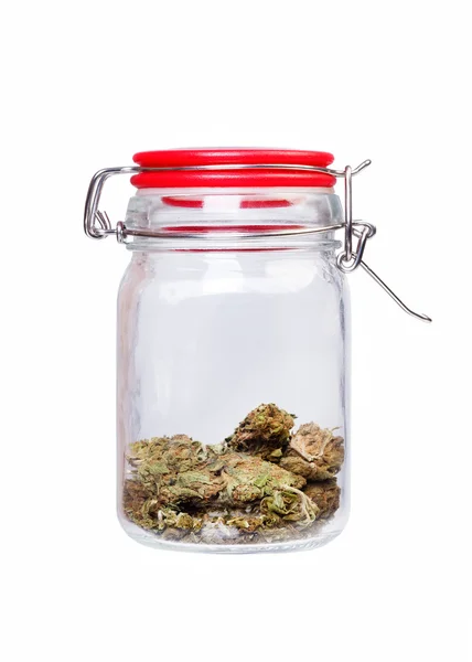 Marihuana i konopi, słoik chwastów na białym tle — Zdjęcie stockowe