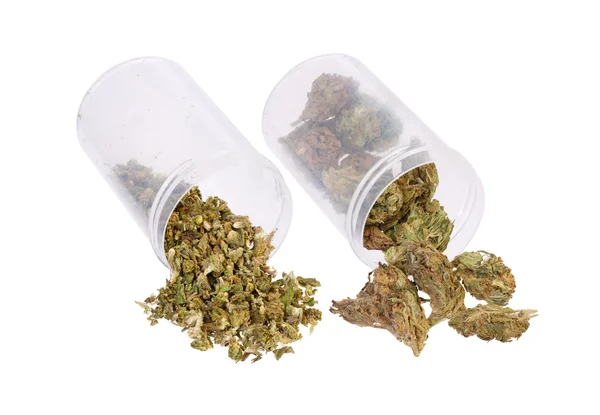 Dwa rodzaje marihuany — Zdjęcie stockowe
