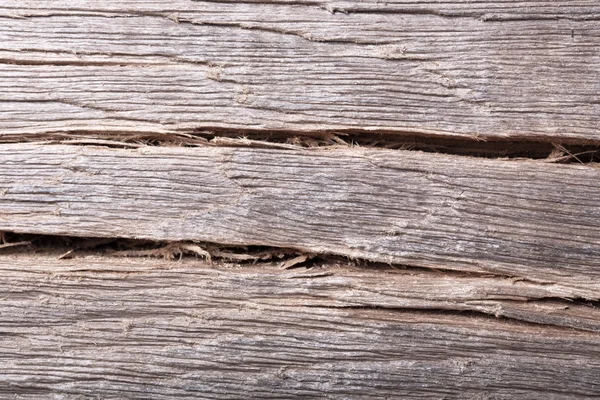 Old wood (bog oak), texture grunge background. — Stock Photo, Image