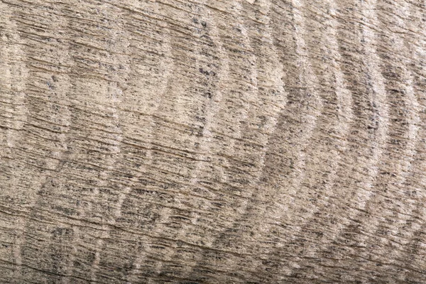 Zbliżenie: skład drewna ciemny szary (torfowiska dąb). — Zdjęcie stockowe