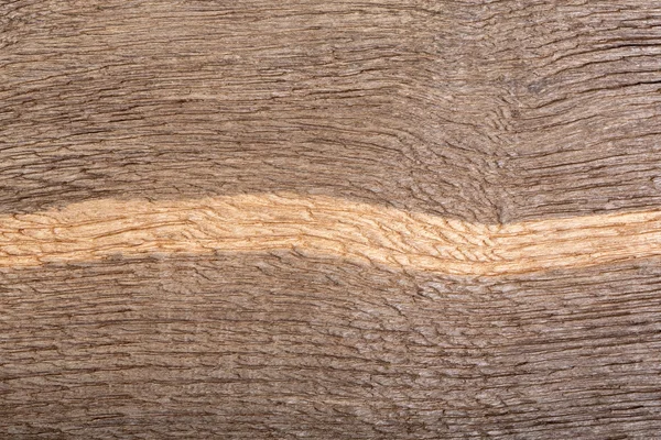 Beautiful texture from natural old scratched wood (bog oak) with — Stock Photo, Image