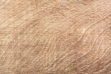 Bataklık meşe yakın çekim fotoğraf. Eski ahşap dokusu.