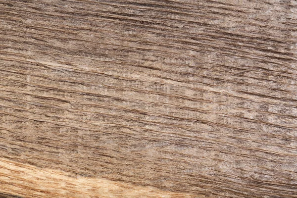 Stary porysowany drewna (torfowiska dąb). Tekstura. — Zdjęcie stockowe