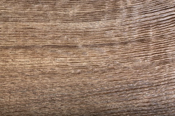Natural old oak wood texture. — Stock Photo, Image