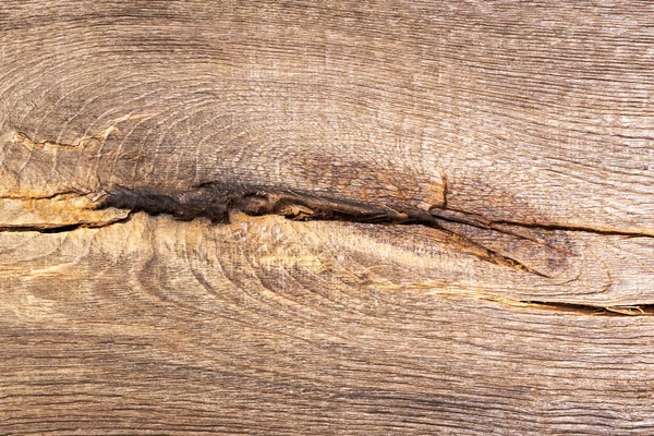 Aged wood (bog oak) texture with knot. — Stock Photo, Image