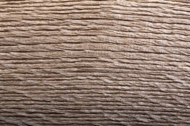 Fantastik doku ile tarih öncesi ahşap (bataklık meşe).