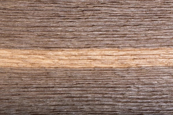 Beautiful texture from natural old wood (bog oak) with unique pa — Stock Photo, Image