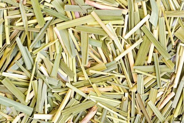 Sweetgrass for medical use. Close-up photo. — Stock Photo, Image